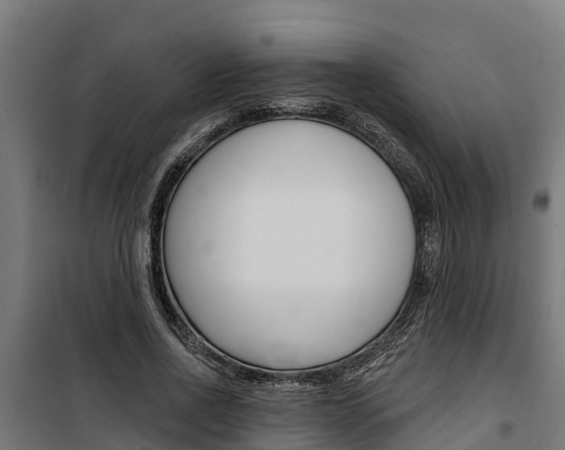 X0000100750734200806190822