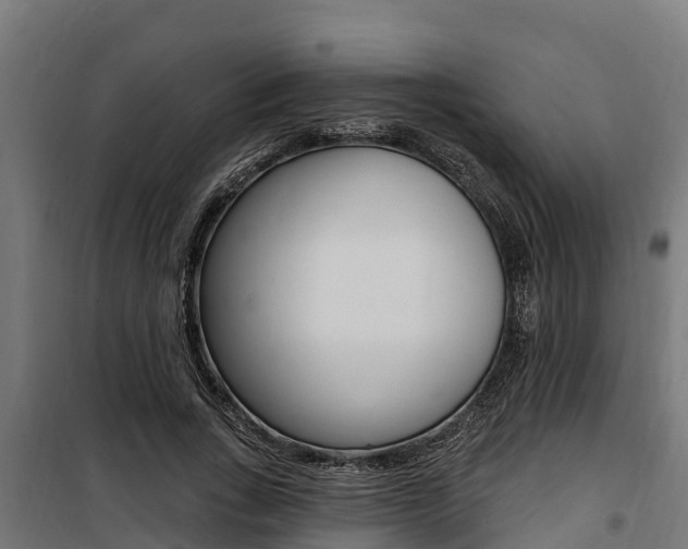 X0000100750735200806190822
