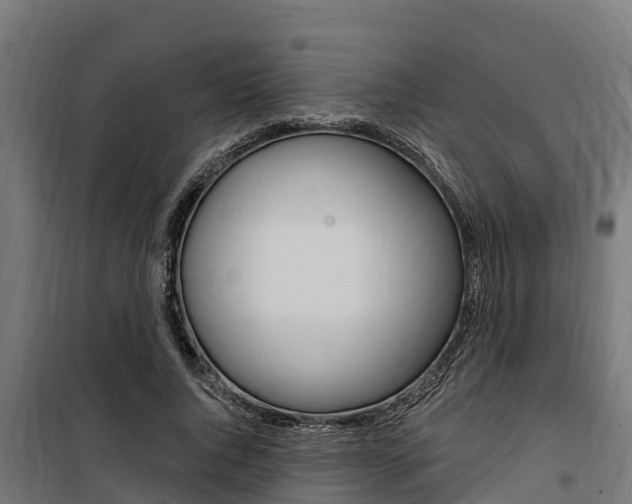 X0000100750736200806190822