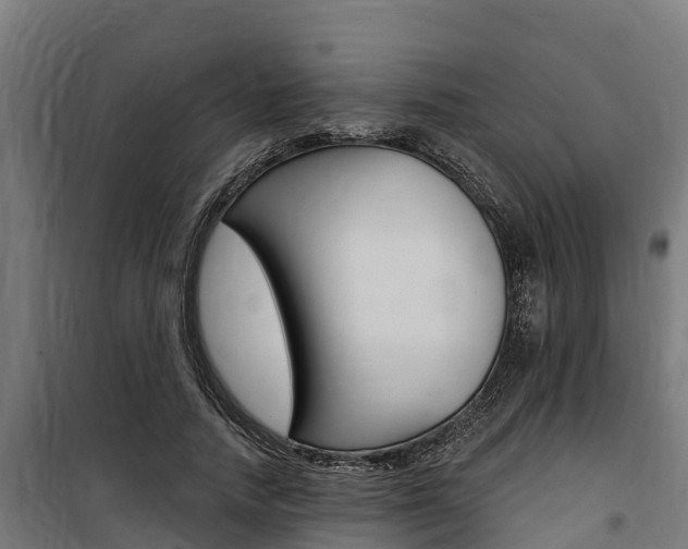 X0000100750738200806190822