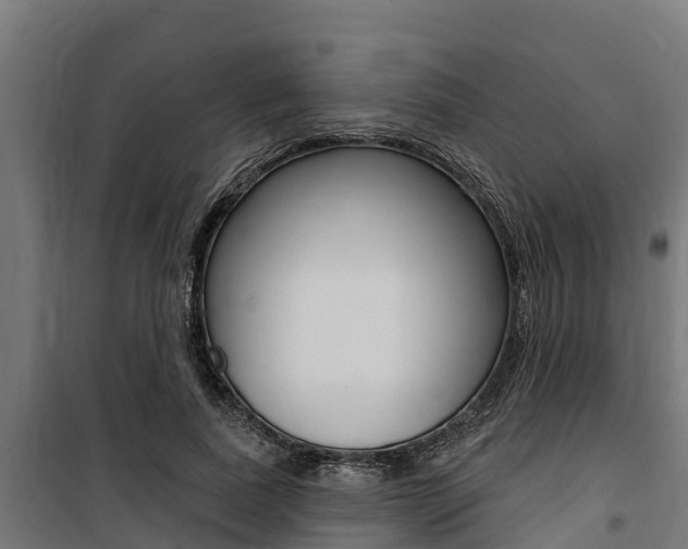 X0000100750739200806190822