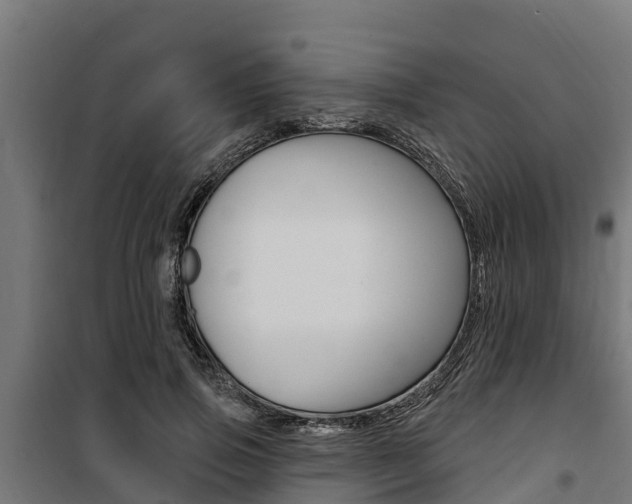 X0000100750741200806190822