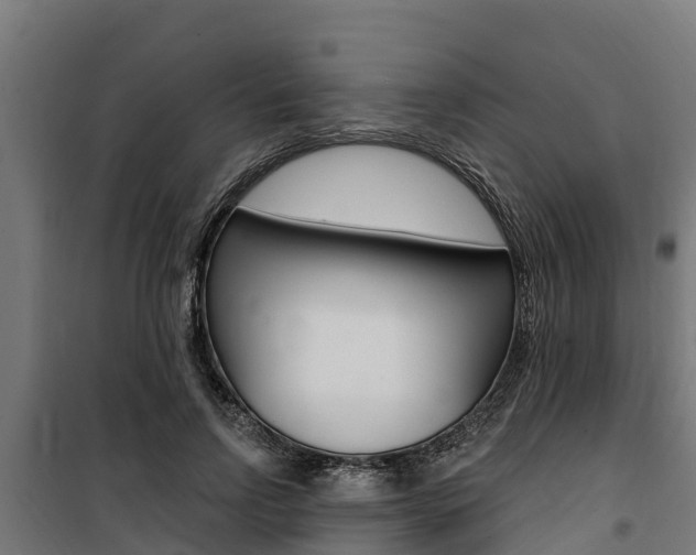 X0000100750742200806190822