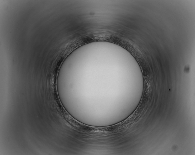 X0000100750745200806190822