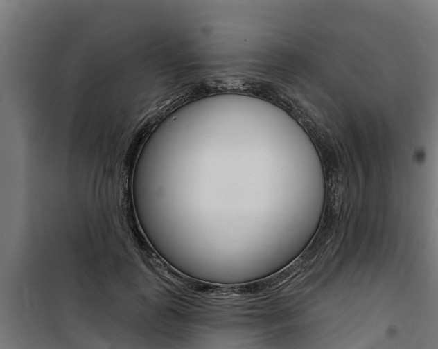 X0000100750747200806190822