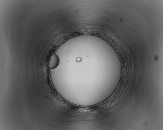 X0000100750749200806190823