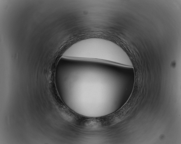 X0000100750750200806190823