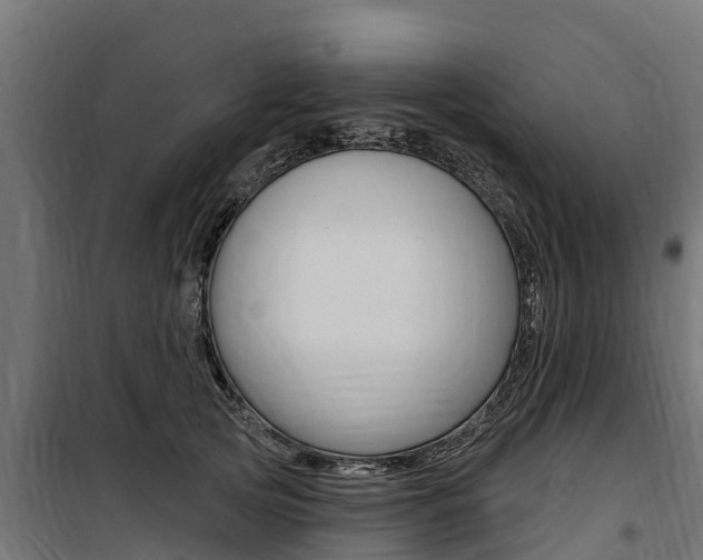 X0000100750753200806190823