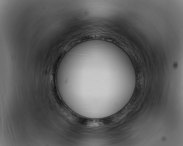 X0000100750754200806190823