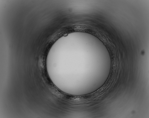 X0000100750755200806190823
