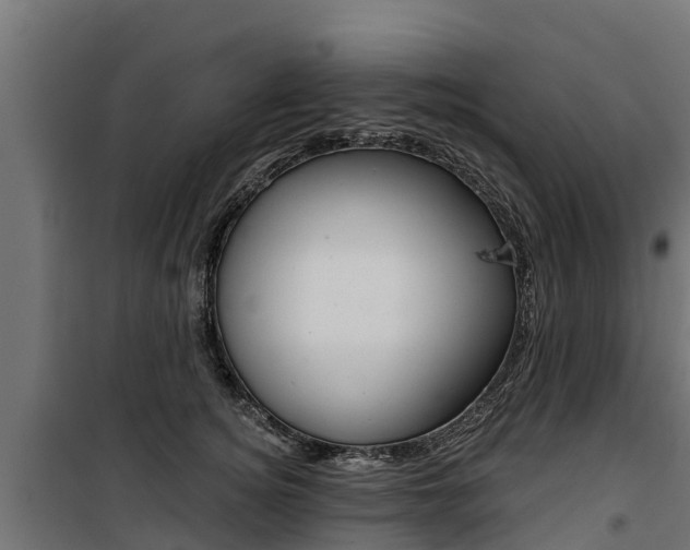 X0000100750756200806190823