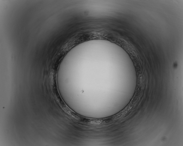 X0000100750757200806190823