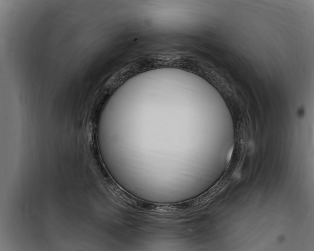 X0000100750758200806190823