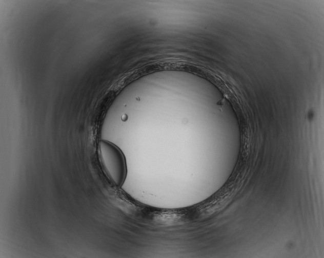 X0000100750759200806190823