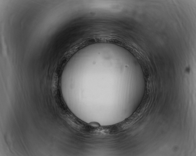 X0000100750760200806190823