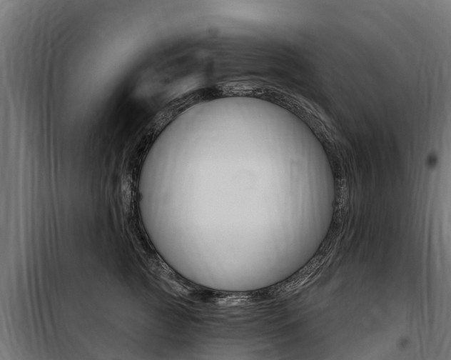 X0000100750761200806190823