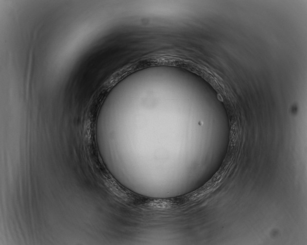 X0000100750762200806190823