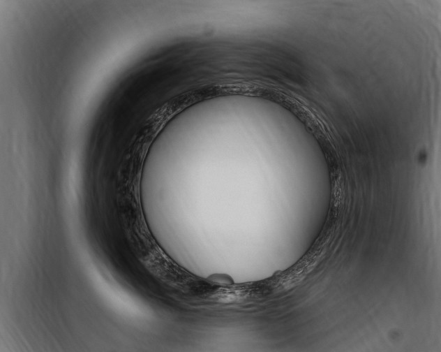 X0000100750764200806190823