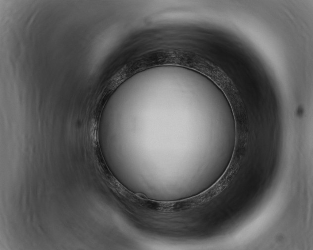 X0000100750766200806190823