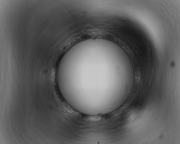X0000100750767200806190823