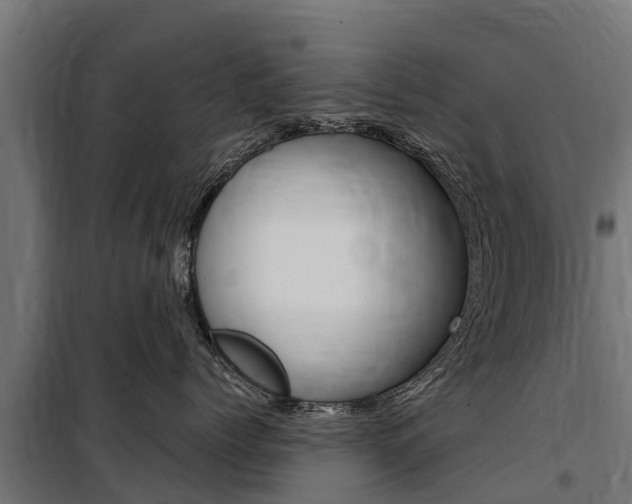 X0000100750768200806190823