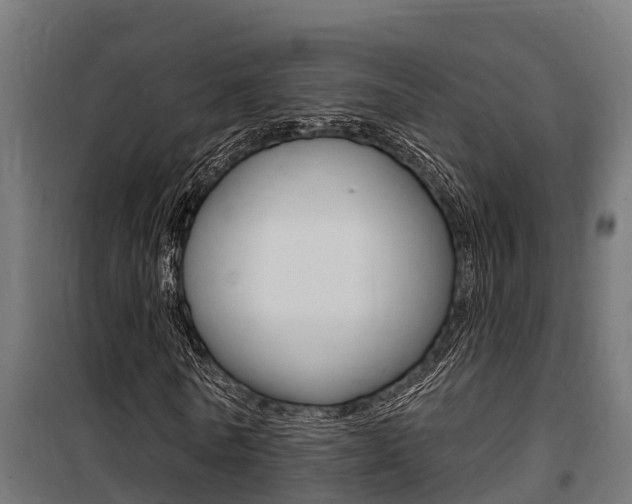 X0000100750770200806190822