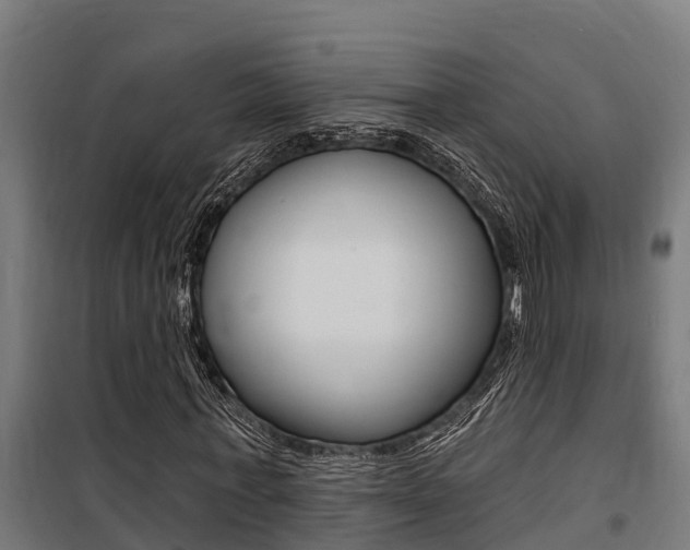 X0000100750771200806190822