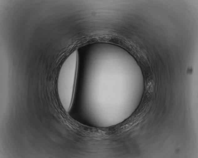 X0000100750772200806190822