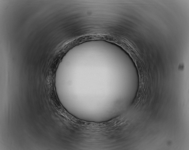 X0000100750773200806190822