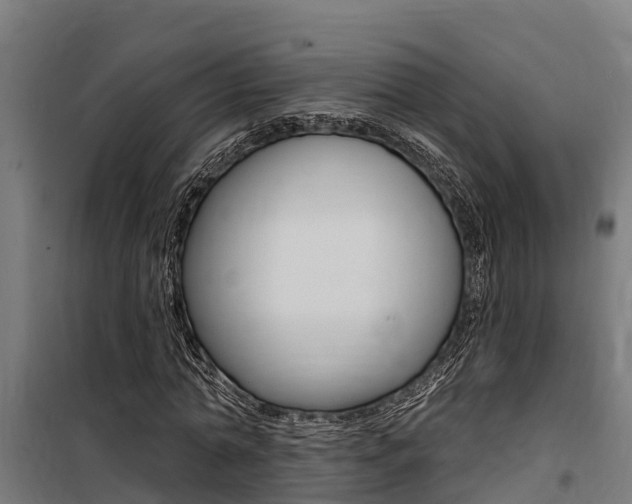 X0000100750774200806190822