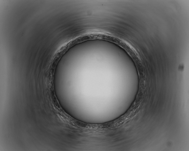 X0000100750775200806190822