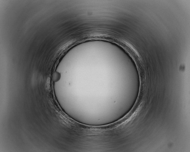 X0000100750777200806190822