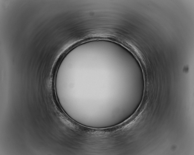 X0000100750779200806190822
