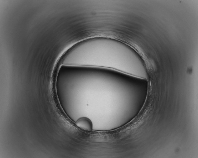 X0000100750780200806190822