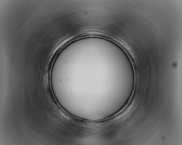 X0000100750782200806190822