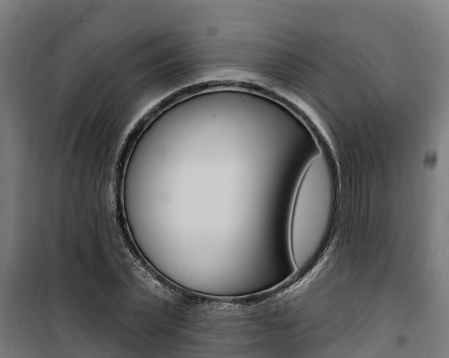 X0000100750783200806190822