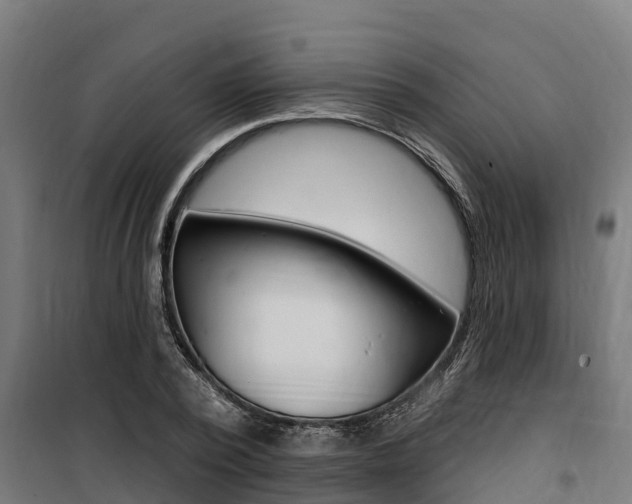 X0000100750784200806190822