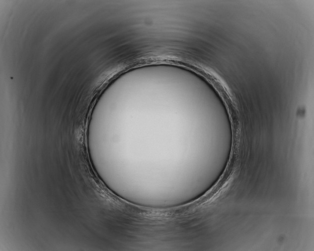 X0000100750785200806190822