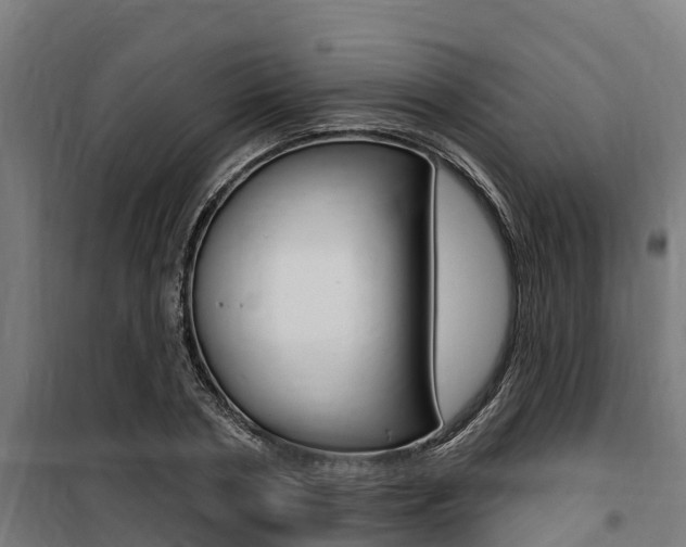 X0000100750786200806190822