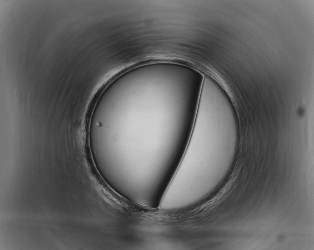 X0000100750787200806190822
