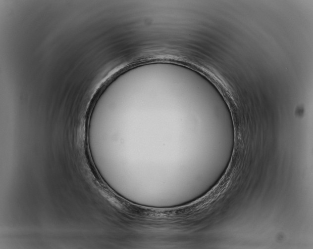 X0000100750790200806190822