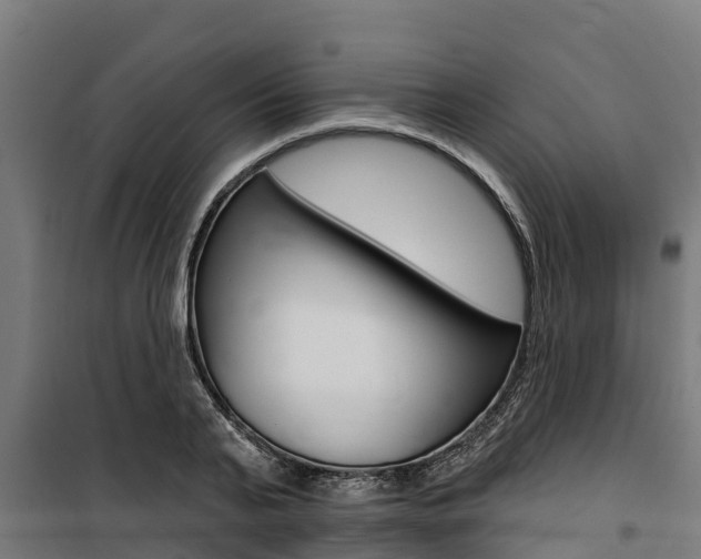 X0000100750791200806190822