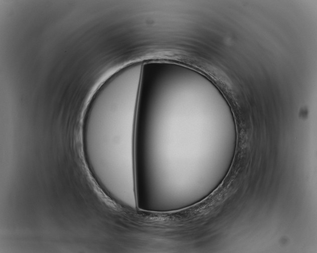 X0000100750792200806190822