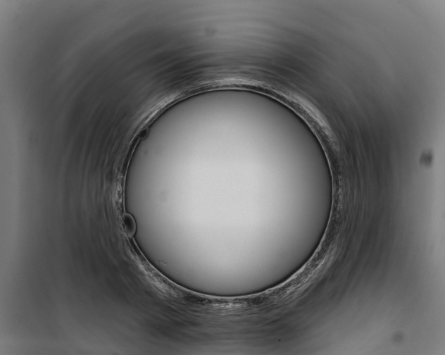 X0000100750793200806190822