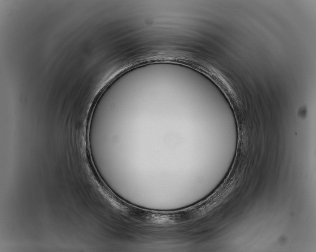 X0000100750794200806190822
