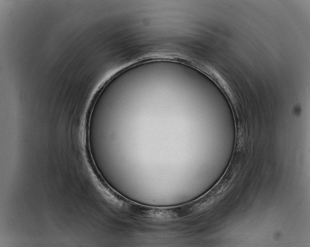 X0000100750795200806190821