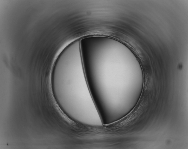 X0000100750796200806190821