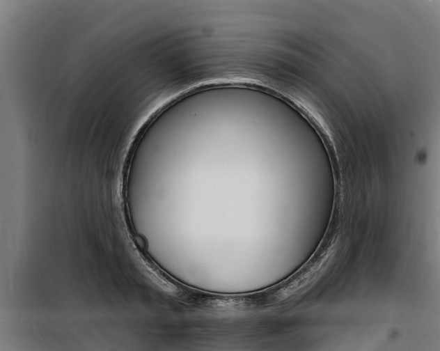 X0000100750797200806190821
