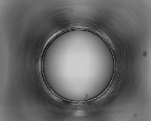 X0000100750798200806190821