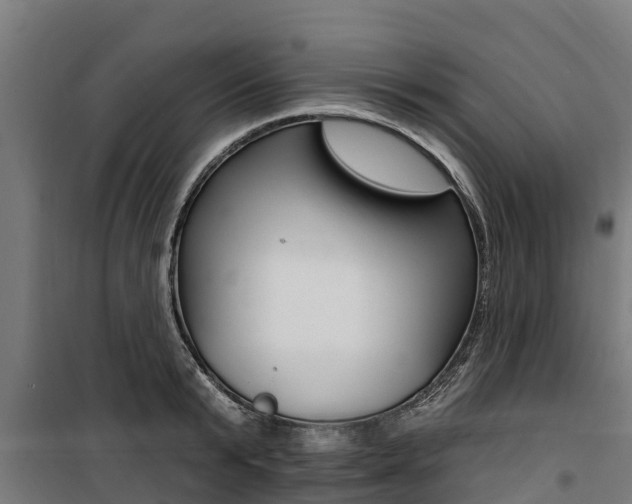 X0000100750799200806190821